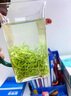 巖御史正宗蘇州碧螺春2025明前綠茶新茶茶葉禮盒裝節(jié)日送禮送客戶送長輩 半壁山河-碧螺春 250g*2罐 曬單實拍圖