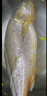 1號(hào)會(huì)員店【山姆同廠】冷凍寧德三去大黃魚 黃花魚 凈重700g/2條裝 水產(chǎn)魚 曬單實(shí)拍圖