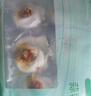 獐子島 冷凍蒜蓉粉絲扇貝 凈重600g 18只 燒烤食材 生鮮 海鮮水產(chǎn)  曬單實(shí)拍圖