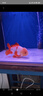 水族時(shí)光30W變頻水泵藍牙智控魚(yú)缸潛水泵小型底吸水陸兩用循環(huán)泵  曬單實(shí)拍圖