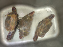 舟山梭子蟹鮮活特大野生大螃蟹新鮮冷凍海鮮水產(chǎn)海蟹飛蟹白蟹順豐 9兩以上/只【5斤凈重 超大肥美】 曬單實(shí)拍圖