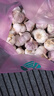 【百萬斤急賣】山東大蒜種新干蒜紫皮大蒜頭種籽蒜大蒜頭蔬菜苗 金鄉(xiāng)本地優(yōu)質大蒜 5斤 超值 大果 曬單實拍圖
