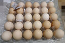 太奇樂【無抗】臻心柴雞蛋30枚1.5kg 曬單實拍圖