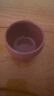 百年利永 宜興純?nèi)止ぷ仙氨V朱泥聚財主人杯功夫茶具泡茶杯子品茗杯 曬單實拍圖