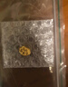 謝瑞麟（TSL）足金黃金轉(zhuǎn)運(yùn)珠平安如意鎖轉(zhuǎn)運(yùn)珠送寶寶不含手繩XJ019 約1g 曬單實(shí)拍圖