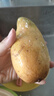 正宗海南芒果三亞金煌芒當(dāng)季熱帶水果水仙甜心芒特大芒果現(xiàn)摘整箱 9斤中果(單果200g+)香甜爆汁 曬單實(shí)拍圖
