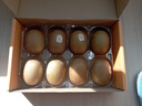佳沛（zespri）新西蘭陽光金奇異果 8個裝 特大果單果重約122-146g 水果獼猴桃 曬單實拍圖