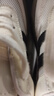 他她時尚復(fù)古德訓(xùn)鞋女板鞋春夏W9B01AM4 米白/黑/灰（網(wǎng)面透氣款） 37 曬單實拍圖