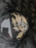 2025新款全套魚線主線臺(tái)釣大物黑坑野釣釣魚線組拉力 2.7米競(jìng)技線組【2卷】 0.8號(hào) 曬單實(shí)拍圖