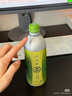 九州 日本進口 無糖綠茶 490mL*12 490mL*12瓶 曬單實拍圖