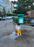 羚特趕海連體褲兒童玩水連體衣沙水服涉水服下水褲-檸檬黃 27 曬單實拍圖