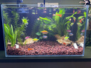 尼特利 NETLEA水草泥魚缸凈水營(yíng)養(yǎng)土水族養(yǎng)魚水藻泥免水洗種植土草缸陶粒底砂 一代-自然粒-3L/袋 曬單實(shí)拍圖