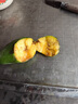 疆域采虹正宗現(xiàn)摘凱特芒果新鮮大青皮芒果時令現(xiàn)摘新鮮芒果生鮮水果整箱 甄選5斤特級果 凈重約為4斤+ 曬單實拍圖