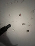 興圣瓦斯槍電動氣釘搶水電專用射釘鋼釘搶直釘混凝土木工吊頂槍水泥槍 全能強(qiáng)力款+3000釘3氣+9槍嘴+包 曬單實(shí)拍圖