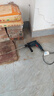 博世（BOSCH）GSB 600 沖擊鉆手電鉆600瓦插電式家裝多功能電動(dòng)工具 曬單實(shí)拍圖