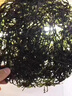 南澳頭水紫菜特級潮汕紫菜免洗無沙天然野生菜煮湯特產(chǎn)火鍋食材紫 頭水紫菜100g 南澳產(chǎn)地直發(fā) 曬單實拍圖