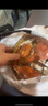 舟山梭子蟹鮮活特大野生大螃蟹新鮮冷凍海鮮水產(chǎn)海蟹飛蟹白蟹順豐 7-9兩/只【5斤凈重 特大肥壯】 曬單實拍圖