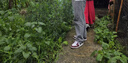 耐克（NIKE）鞋子aj男鞋 Air Jordan 1 Low 低幫男子運(yùn)動(dòng)休閑鞋籃球鞋 HF3148-102 白黑紅 42 曬單實(shí)拍圖