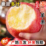 洛川蘋果洛川紅富士蘋果陜西特產(chǎn)時令生鮮水果產(chǎn)地直發(fā) 健康輕食 10斤大果80-85mm（凈重8.5斤） 曬單實拍圖
