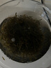元瀧正宗日曬干海帶絲昆布絲無沙干貨500g牛肉面絲涼拌菜煲湯火鍋食材 日曬海帶絲50克 曬單實(shí)拍圖