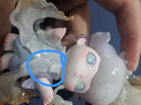 POP MART泡泡瑪特 DIMOO自然的形狀系列手辦盲盒潮玩玩具七夕禮物 整盒12個 不支持七天無理由退換 曬單實拍圖