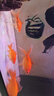 大拇指錦鯉魚(yú)飼料金魚(yú)魚(yú)糧螺旋藻魚(yú)糧錦鯉揚(yáng)色促生長(zhǎng)金魚(yú)飼料 1000克中粒 默認(rèn) 曬單實(shí)拍圖