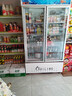 穗凌（SUILING）商用冰柜展示柜冷藏保鮮柜立式風(fēng)冷循環(huán)鮮花水果冷藏柜超市便利店大容量玻璃門啤酒飲料展示柜 雙門【風(fēng)循環(huán) 內(nèi)置LED燈】486升丨長99厘米 曬單實拍圖
