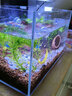 呆寵兒超白裸缸烏龜缸裸缸款水草缸金魚(yú)缸小型水族箱高清透亮魚(yú)缸生態(tài)缸 60*30*35加厚6mm 中型 金晶超白玻璃 曬單實(shí)拍圖