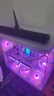 紐曼（Newmine）BT60音響電腦音箱家用桌面臺式機低音炮多媒體筆記本揚聲器有線音箱迷你便攜游戲小音響 禮物 曬單實拍圖