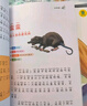 寫給孩子的山海經(jīng)小學生版注音全套6冊原著正版圖書 兒童版文學讀物帶拼音繪本 青少年讀山海經(jīng)漫畫 孩子讀得懂的山海經(jīng)異獸錄 一二三四年級小學生課外閱讀必讀書籍兒童書 省錢卡 黑色星期五 曬單實拍圖
