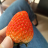 諸氏橙品【空運】草莓 奶油草莓紅顏/白玉草莓孕婦當季新鮮水果多地次日配 紅草莓2盒，15粒/盒，單果20g+ 曬單實拍圖