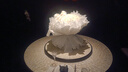 周大金 CHOW TAI KING桔?；冦y999足銀手鏈女生七夕情人節(jié)禮物送女朋友老婆生日禮物 桔?；ㄊ宙湣酒邆}(cāng)直發(fā)】 曬單實(shí)拍圖