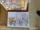親巴貝外國山海經通通哥描募本繪畫本兒童涂色畫畫本卡通描繪本臨摹本 曬單實拍圖