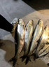餌料球龍蝦黃鱔籠地魚餌盒鱔魚餌盒網(wǎng)籠地網(wǎng)籠餌料袋包專用餌球 【50個裝】帶掛鉤餌料球 曬單實拍圖