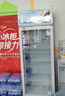 榮事達(dá)（Royalstar）288升單門展示柜 商用冷藏冰箱 冷柜超市飲料啤酒保鮮柜 大容量立式冷柜 LSC-288 曬單實(shí)拍圖
