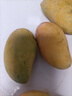京鮮生 海南小臺芒 大果凈重4.5斤裝 單果80g起 生鮮水果源頭直發(fā) 曬單實拍圖