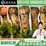 土地母親計劃 雅江松茸菌未開傘新鮮松茸鮮菌菇冷鏈空運現(xiàn)貨快至24H達(dá)團購送禮 出口級未開傘 5-5.8cm 凈重500g 曬單實拍圖