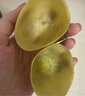 佳沛（zespri）新西蘭  陽光金奇異果16粒禮盒經(jīng)典果單果約 77-103g 水果 獼猴桃 曬單實拍圖