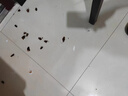 戶凈滅蚊片煙霧片家用煙熏殺蚊驅(qū)蚊室內(nèi)蚊子老式殺蚊蟲神器蟑螂蒼蠅 殺蟲煙霧煙熏片200片裝 曬單實拍圖