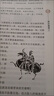 孫子兵法正版 孫子兵法京東自營(yíng)正版原著(zhù) 孫子兵法三十六計 36計孫子兵法正版 孫子兵法白話(huà)文 孫子兵法三十六計孫臏兵法 孫子兵法解讀 孫子兵法 正版 曬單實(shí)拍圖