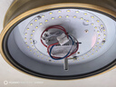 致薈樹led燈具保護(hù)器 LED燈具保護(hù)器防漏電防閃爍微亮雙斷式led燈防微光 雙斷式燈具保護(hù)器 曬單實(shí)拍圖