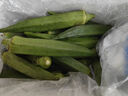 新鮮水果秋葵蔬菜新鮮現(xiàn)摘現(xiàn)發(fā)當季蔬菜生鮮涼拌好物減肥瘦身 現(xiàn)摘水果秋葵 500g 曬單實拍圖