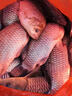 鯽魚大叔同款釣魚小藥v7誘魚粉餌料野釣強(qiáng)效誘魚劑鯉魚鯽魚羅非魚 V7誘魚粉40g【鯽魚大叔推薦】 曬單實(shí)拍圖