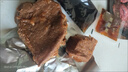 正宗內蒙古特產(chǎn)五香醬牛肉熟肉熟食真空包裝非牛腱子肉即食小零食 150g*6包【每包凈重100g】 醬牛肉 曬單實(shí)拍圖
