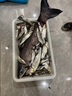 民間藝人大物主線(xiàn)盒雙層線(xiàn)軸大號(hào)巨物線(xiàn)組收納專(zhuān)用盒多功能抗摔盒 大物主線(xiàn)盒白色4軸 曬單實(shí)拍圖