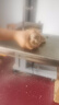 冰仕特商用鋸骨機(jī)大功率大型強(qiáng)勁切骨機(jī)全自動切割牛羊大骨頭魚豬蹄排骨凍肉機(jī)小型家用電動鋸肉機(jī)剁骨機(jī) BST-250【標(biāo)準(zhǔn)款+冷鮮兩用+滑臺】碳鋼機(jī)身 曬單實拍圖