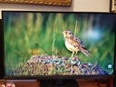 華碩ROG XG27UCS絕神 27英寸顯示器4K電競(jìng)顯示器4K144Hz原生160Hz HDR400 Type-C旋轉(zhuǎn)升降G-SYNC 曬單實(shí)拍圖