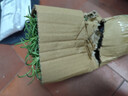 迷迭香苗盆栽可食用驅(qū)蚊植物香草薄荷苗綠植物室內(nèi)煎牛排水培花卉 薄荷+迷迭香（加侖盆*2）大盆苗約20cm高 曬單實(shí)拍圖