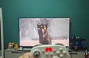 北通鯤鵬20智控?zé)o線游戲手柄xbox機械按鍵switch2電腦PC手機電視steam藍(lán)牙體感NS原神雙人成行 曬單實拍圖