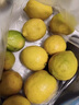 晨木鮮生 四川檸檬 新鮮大果黃檸檬 生鮮水果 5斤裝 曬單實(shí)拍圖